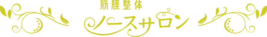 ノースサロンロゴ